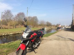 Canal side basking