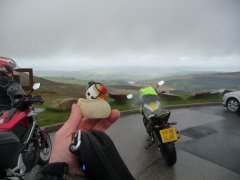 Holme Moss