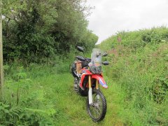 Off the beaten track in Jacob's lane