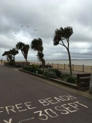 Breezy on the foreshore!